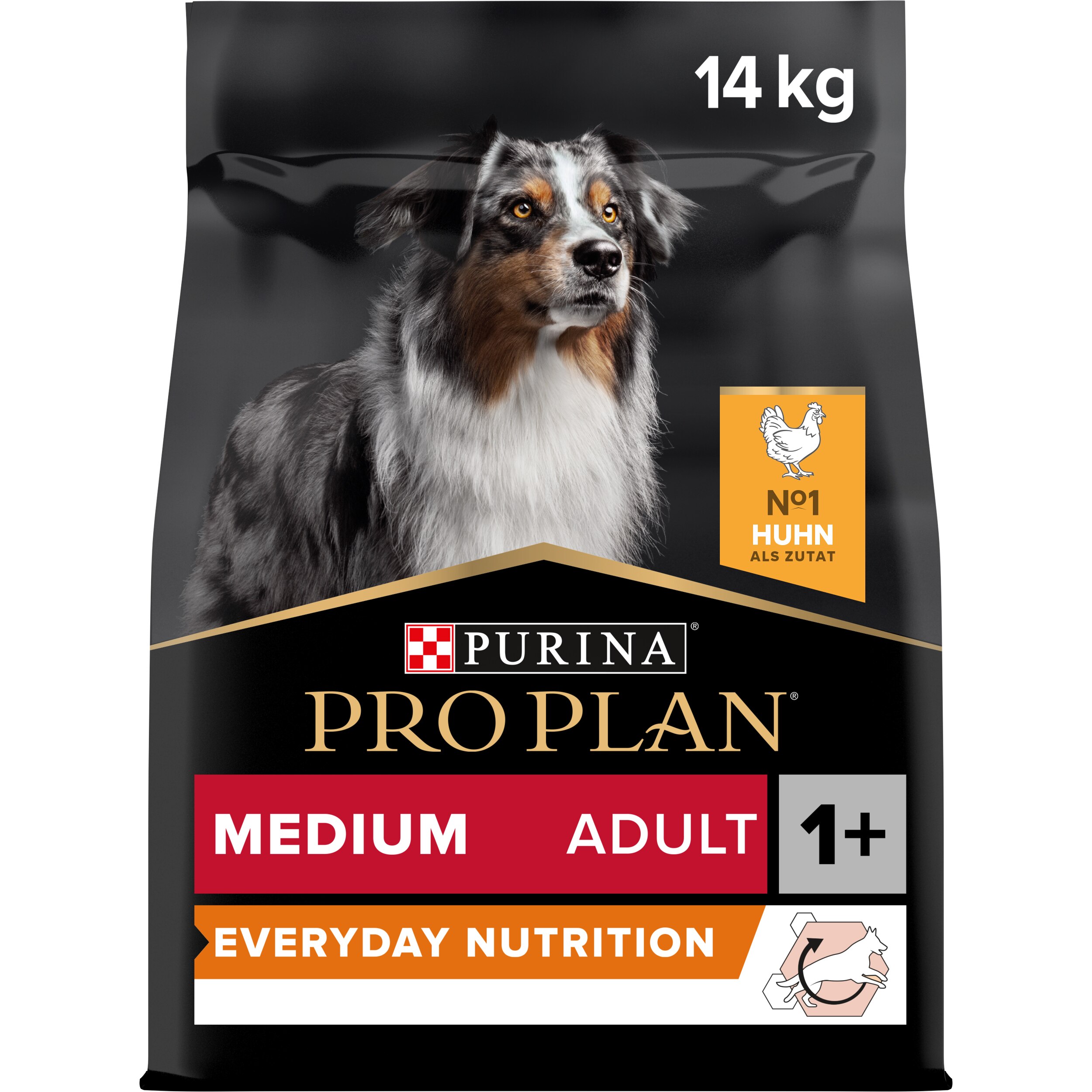 Adult Everyday Nutrition Trockenfutter (Medium, Adult)