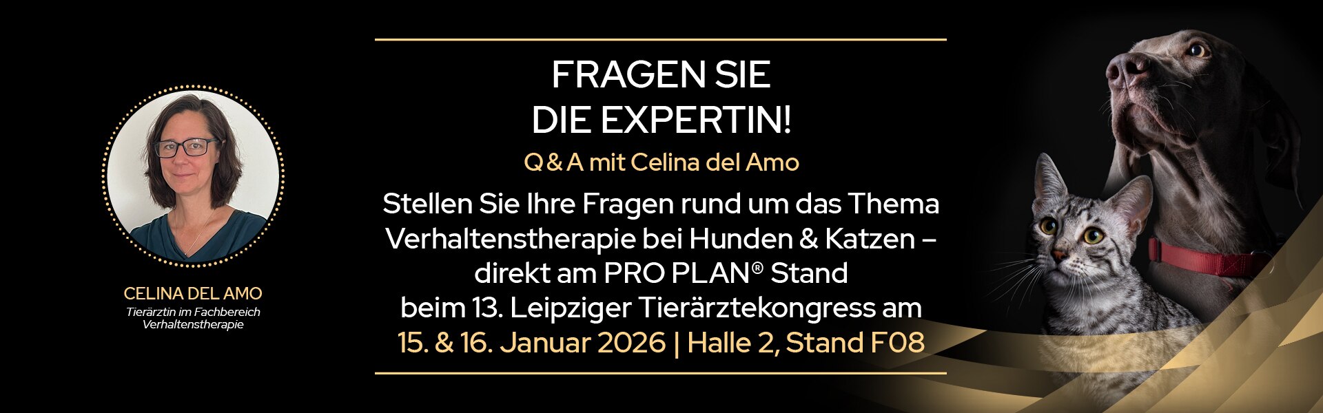 Erwachsener, Weiblich, Person, Frau, Photographie