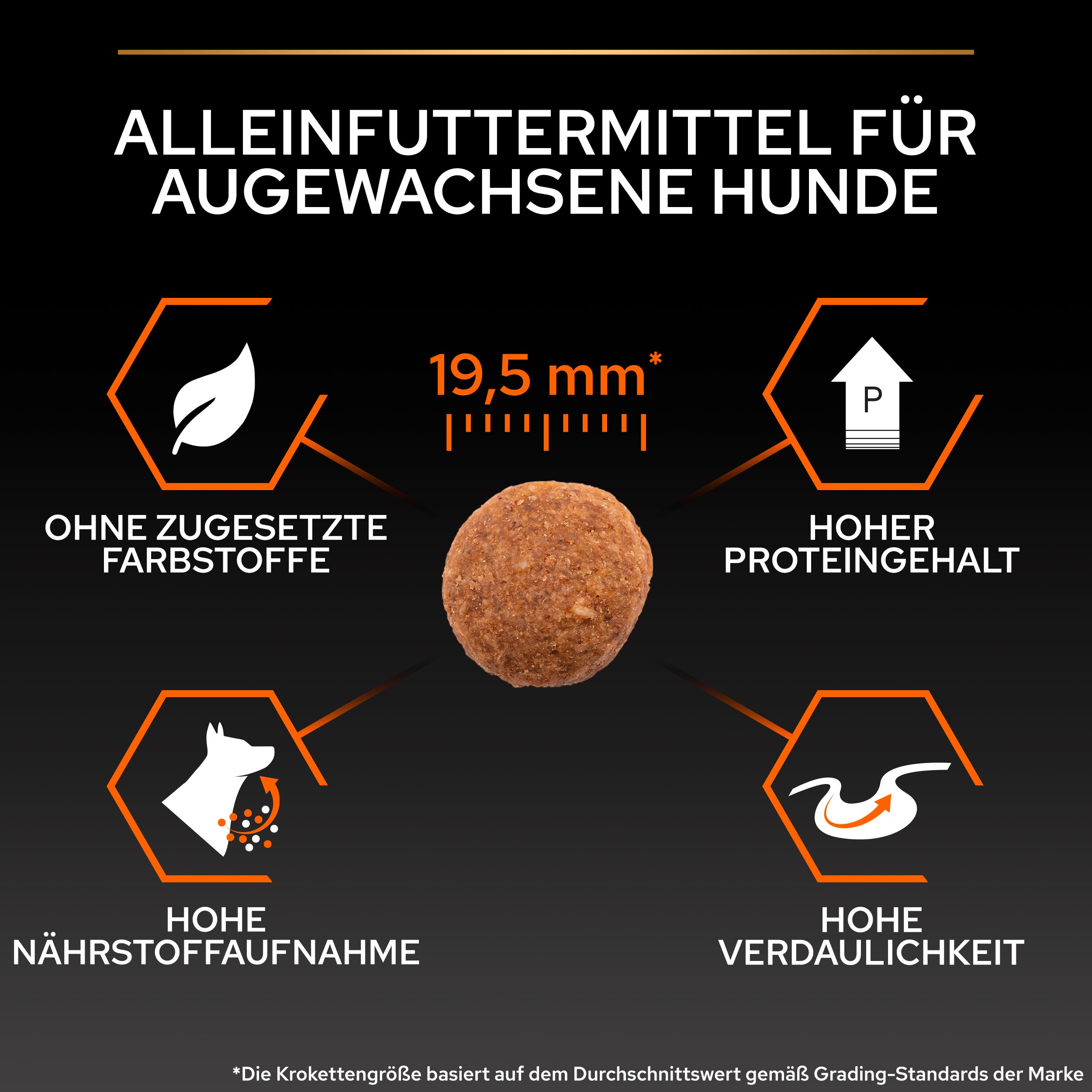 Large Robust Adult Everyday Nutrition, Trockenfutter für ausgewachsene Hunde mit robustem Körperbau, reich an Huhn 14kg Large Robust Trockenfutter (Adult) Größe ca. 19,5mm