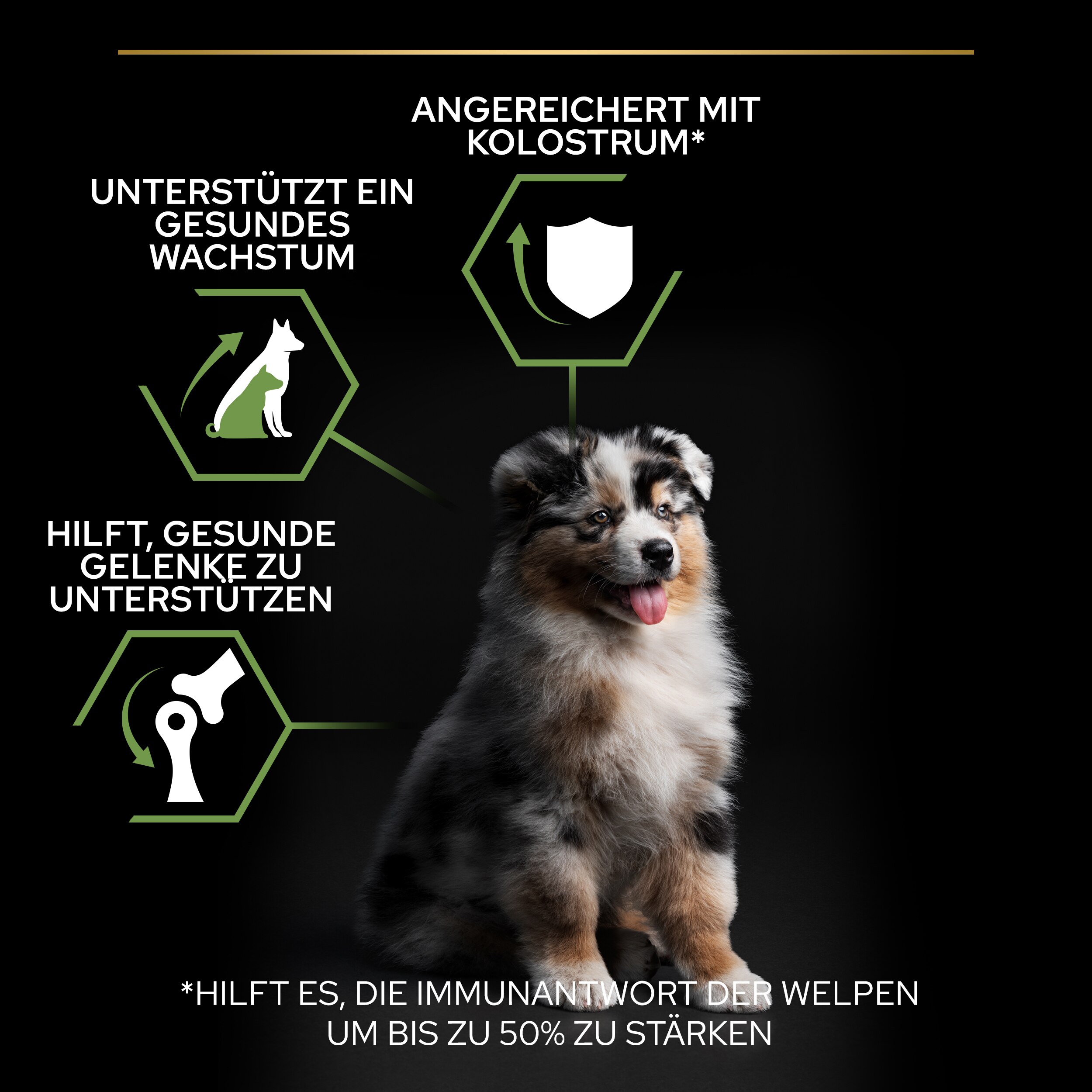 Trockenfutter Medium Puppy Healthy Start
